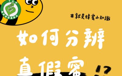 蜂蜜知識-如何分辨真假蜜？