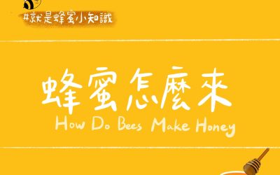 蜂蜜知識-蜂蜜怎麼來？